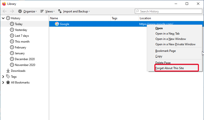 Mozilla Firefox shows Forget About This site Option