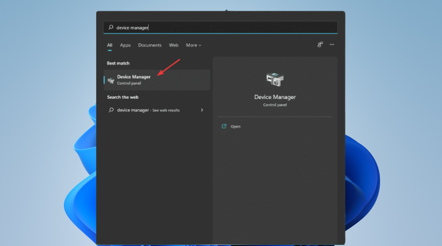 Windows 11 device manager