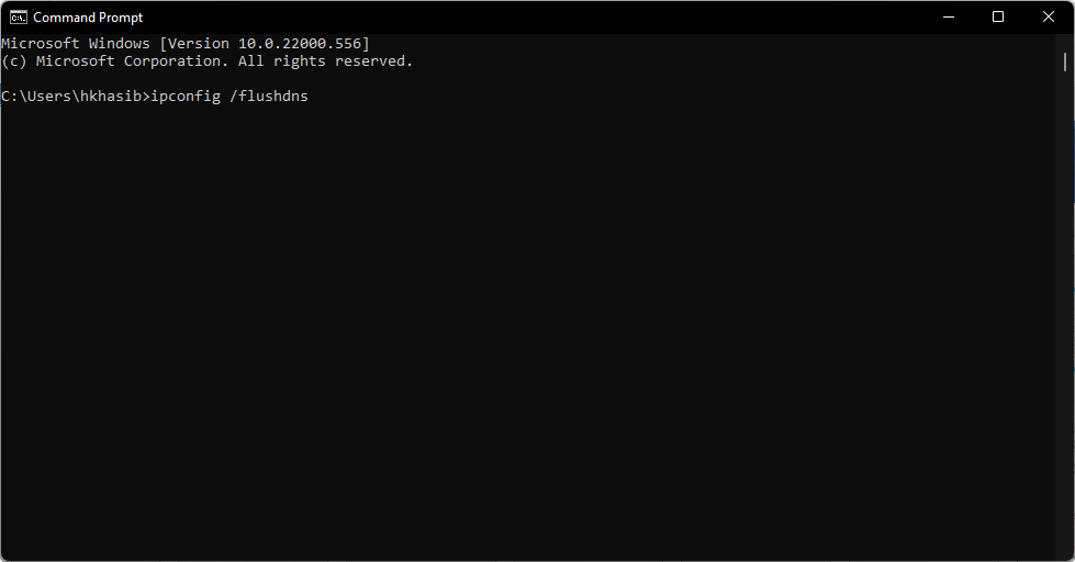 ipconfig flushdns win11