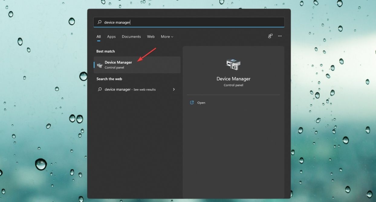 opening device manager win11