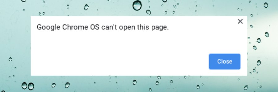 Google Chrome OS can't open this page