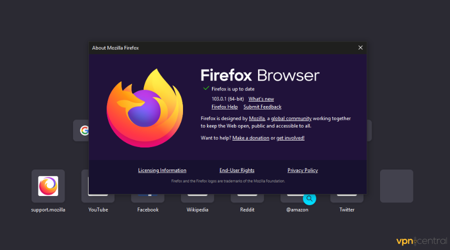 Firefox update