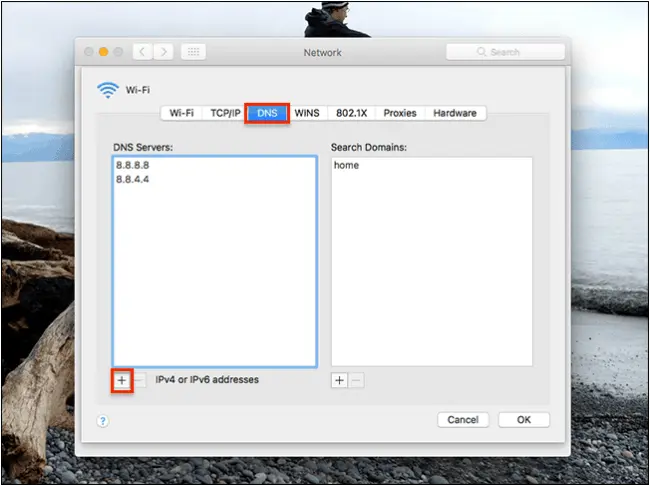 dns settings on mac computer
