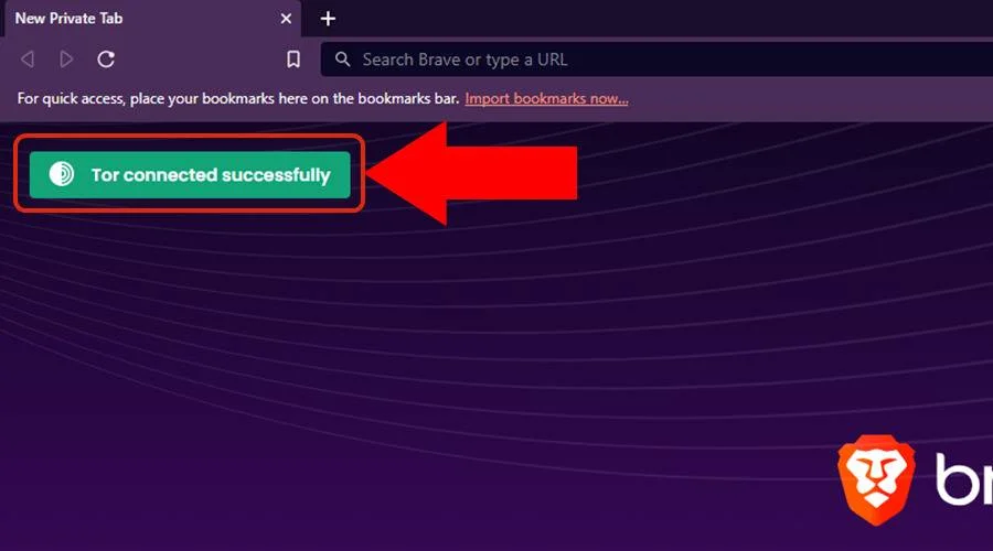 tor connected successfully