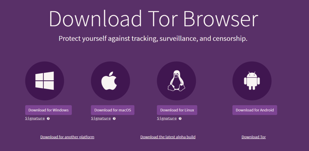 download tor browser