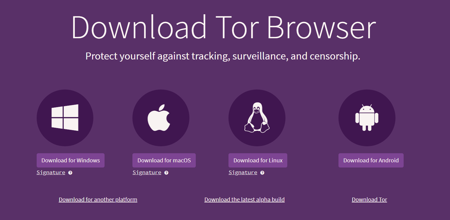 download tor browser