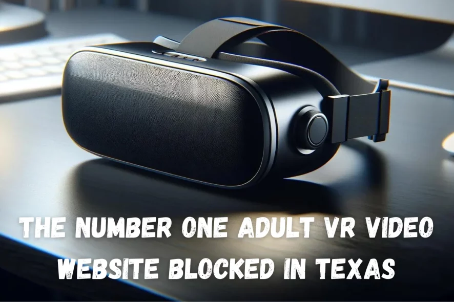 The Number One Adult VR Video Website Blocked in Texas