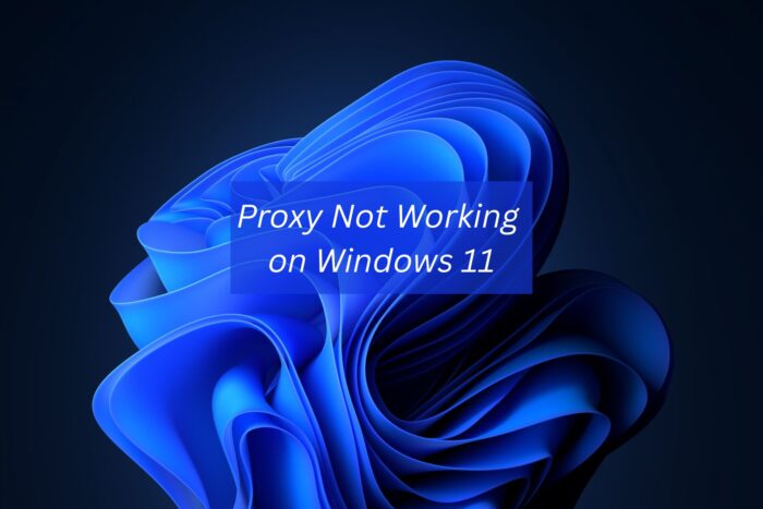 proxy not working on windows 11