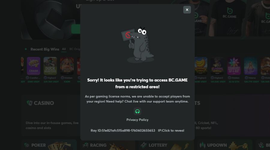 Sorry! It looks like you're trying to access BC.GAME from a restricted area! Error Message on BC.GAME Platform When Inaccessible With VPN